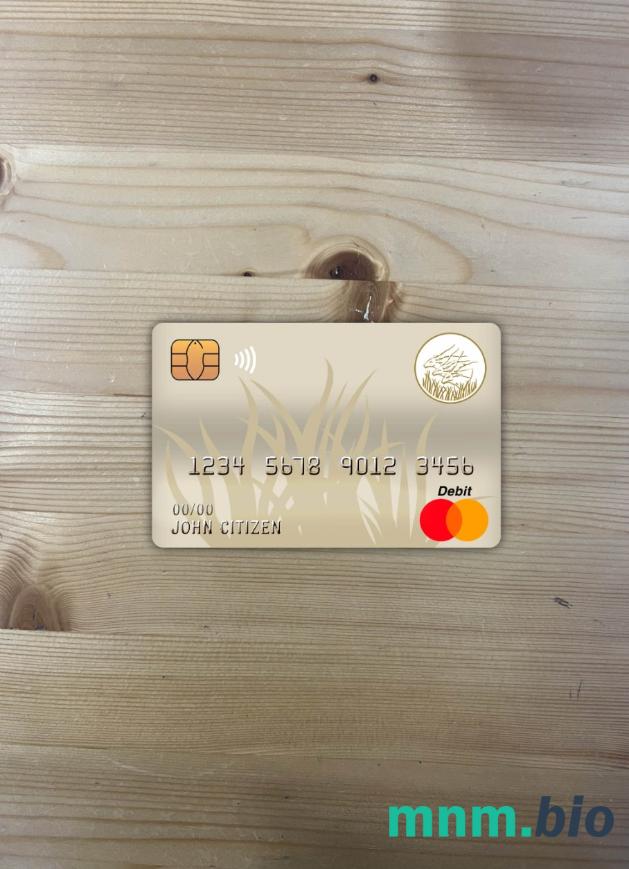 Central African Republic bank of Central African States (BEAC) bank wygląd zdjęcia mastercard skan PSD + zdjęcie